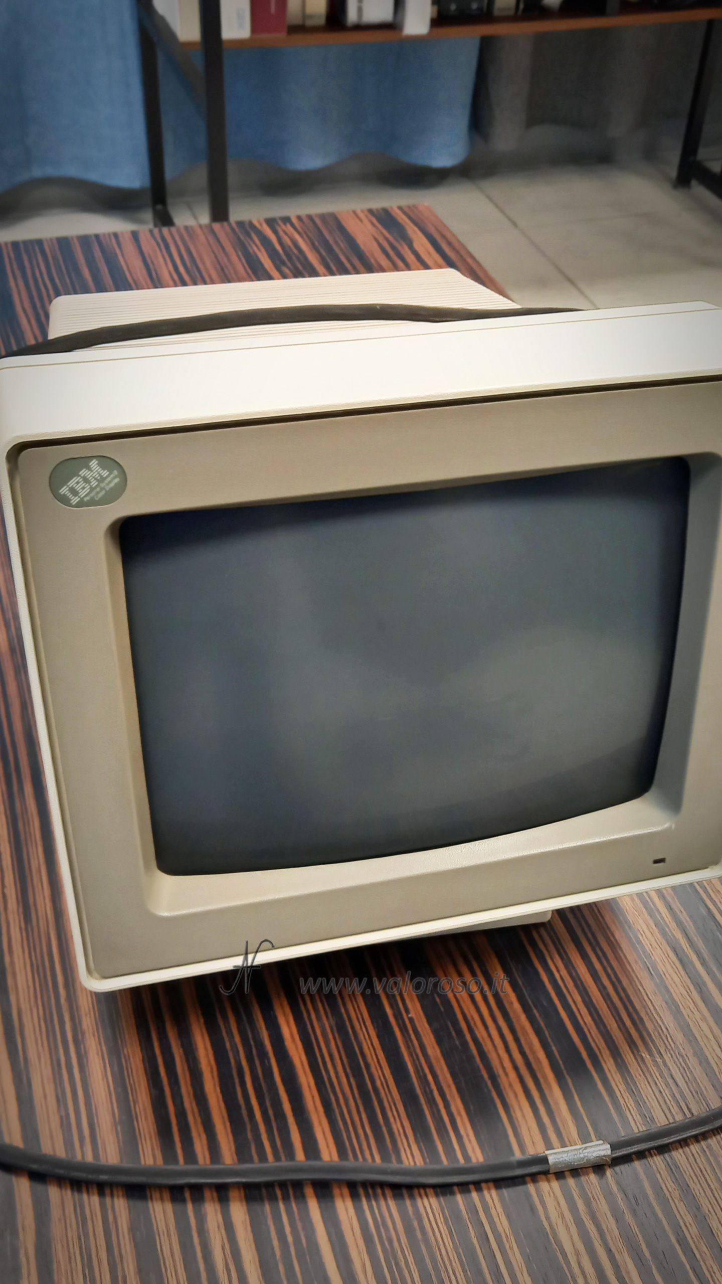 Monitor IBM 8513, sporco, necessita di pulizia.